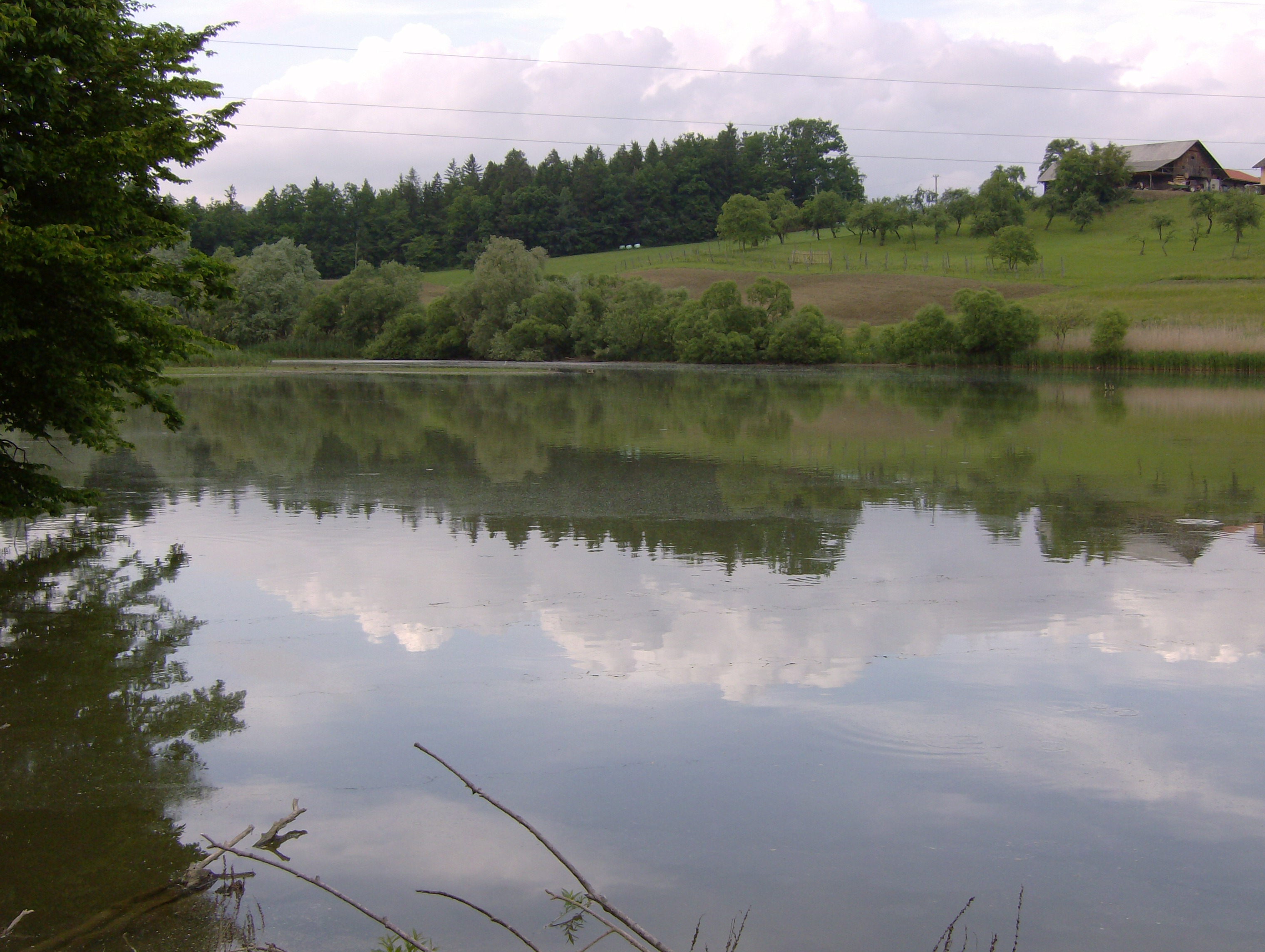 Carp Fishing Šmartinsko Lake 5 days - Fishing Guides Slovenia